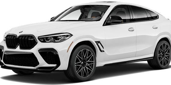 BMW X6 2020 5YMCY0C06L9D65598 image