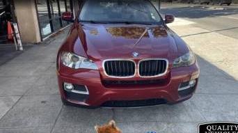 BMW X6 2013 5UXFG2C51DL784538 image