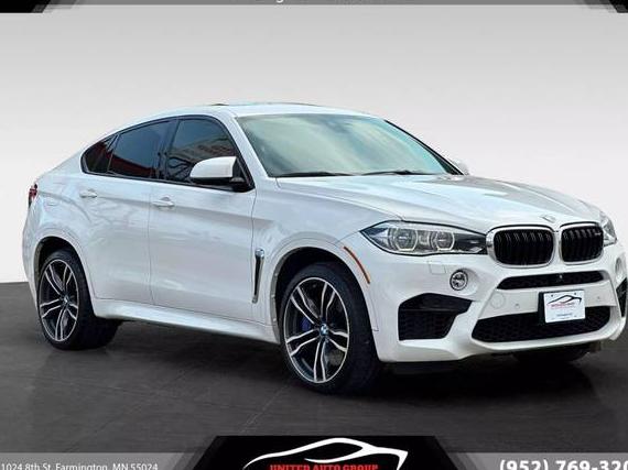 BMW X6 2015 5YMKW8C53F0R42976 image