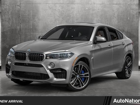 BMW X6 2015 5YMKW8C54F0R42825 image