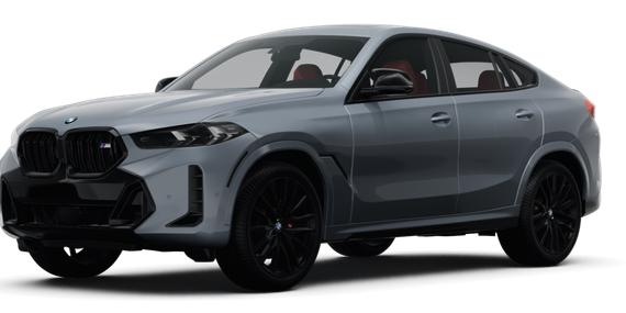 BMW X6 2025 5UX43EX07S9Y12209 image