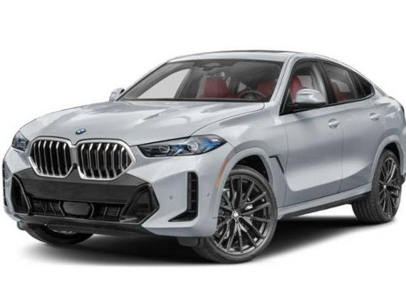 BMW X6 2025 5UX33EX06S9W97663 image