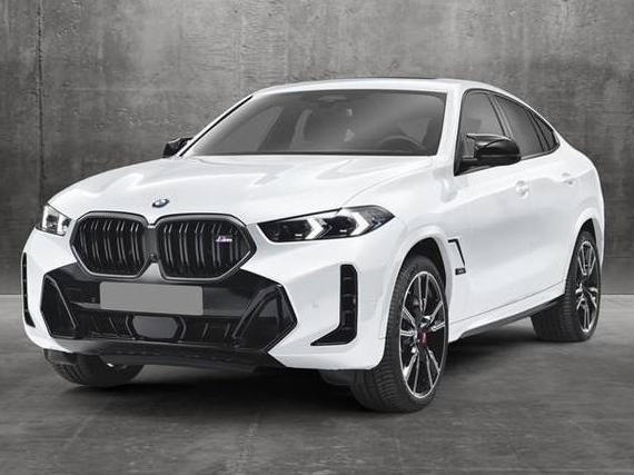 BMW X6 2025 5UX33EX02S9X11011 image