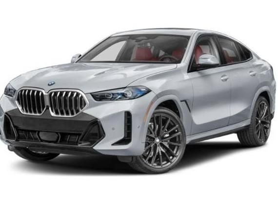 BMW X6 2025 5UX33EX07S9W31901 image