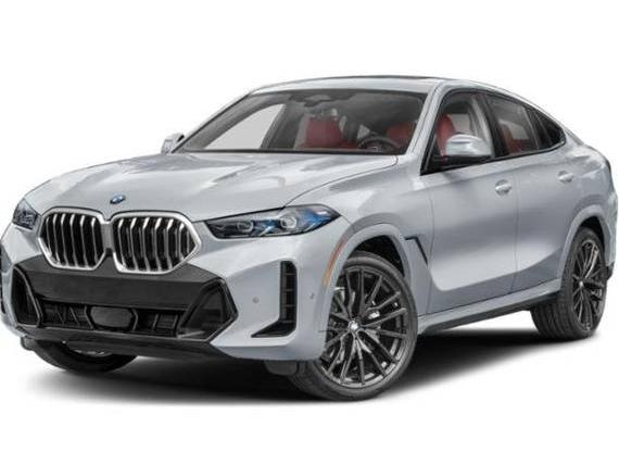 BMW X6 2025 5UX43EX06S9X17902 image
