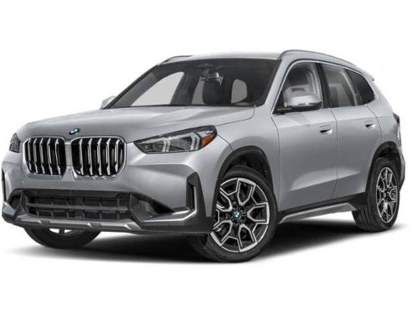 BMW X1 2023 WBX73EF01P5Y13096 image