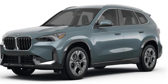 BMW X1 2023 WBX73EF06P5Y16771 image