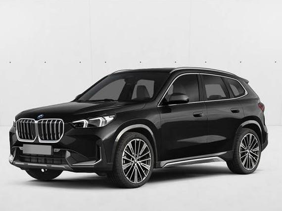 BMW X1 2023 WBX73EF02P5X76852 image BMW X1 2023 WBX73EF02P5X76852 image