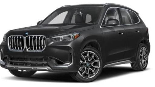 BMW X1 2023 WBX73EF02P5V98019 image