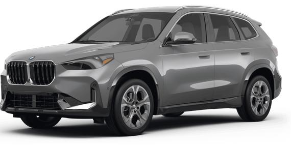 BMW X1 2023 WBX73EF07P5X01547 image