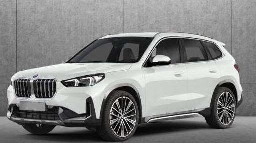 BMW X1 2023 WBX73EF04P5X87173 image