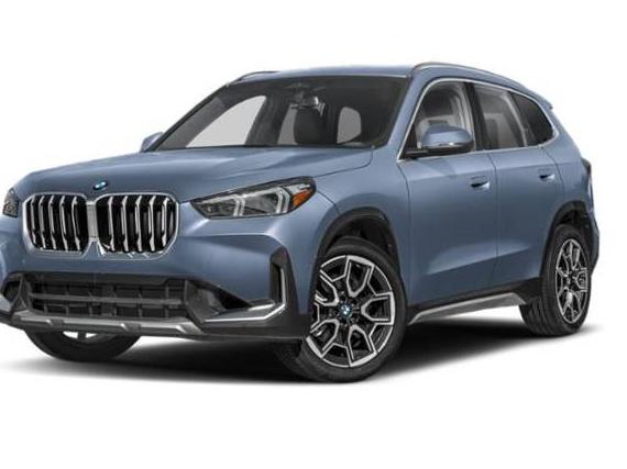 BMW X1 2025 WBX73EF07S5053460 image