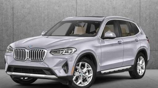 BMW X3 2023 5UX53DP00P9N75830 image