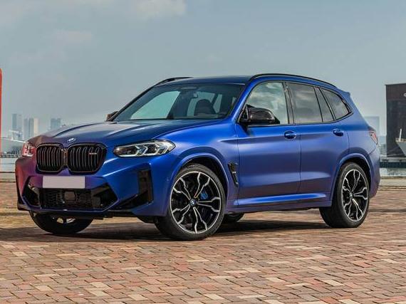 BMW X3 2023 5YM13EC05P9P74116 image