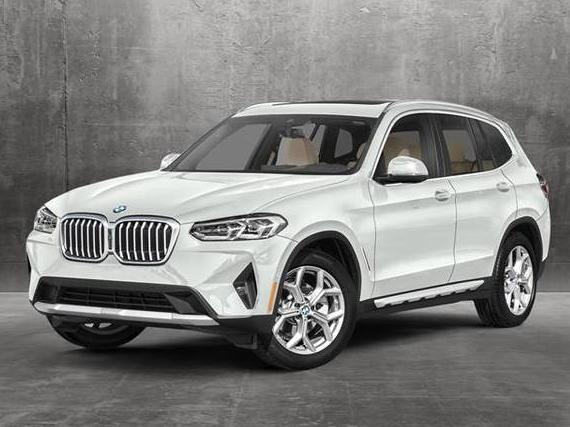 BMW X3 2023 5UX53DP06P9N53251 image
