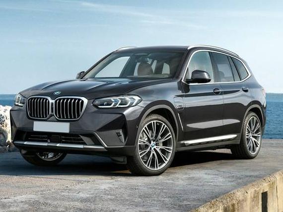 BMW X3 2023 5UX53DP06P9S24890 image