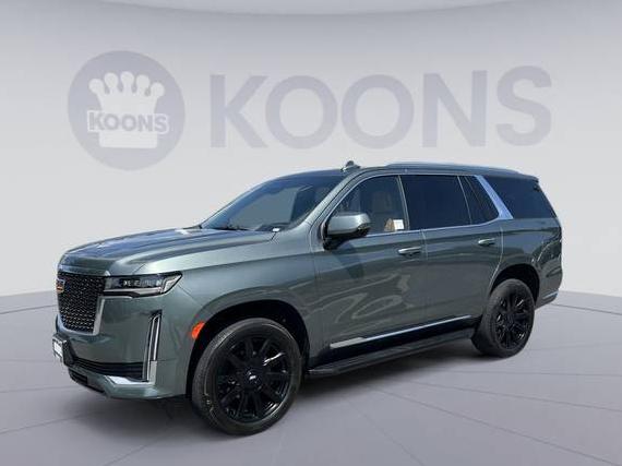 CADILLAC ESCALADE 2023 1GYS4BKL3PR148580 image