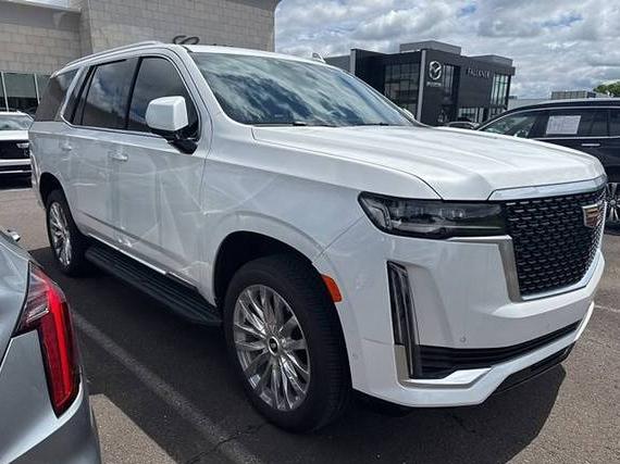 CADILLAC ESCALADE 2023 1GYS4BKL0PR560696 image