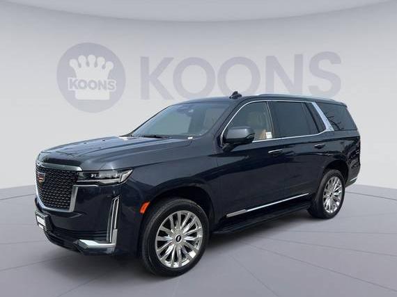 CADILLAC ESCALADE 2023 1GYS4BKL0PR162873 image
