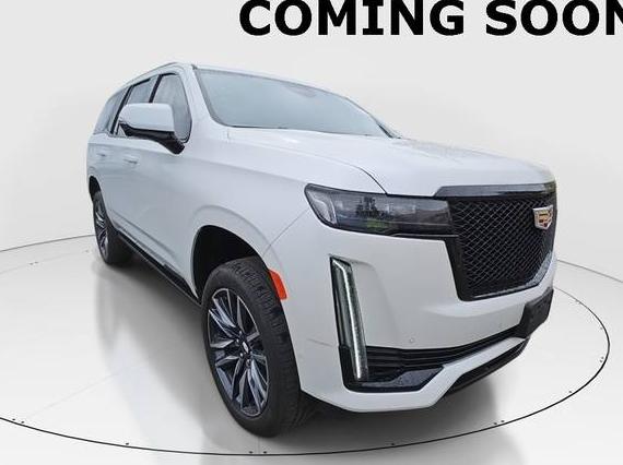CADILLAC ESCALADE 2023 1GYS4GKL9PR265495 image