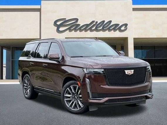 CADILLAC ESCALADE 2023 1GYS4FKL1PR109977 image