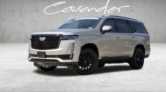CADILLAC ESCALADE 2023 1GYS4GKL1PR345003 image