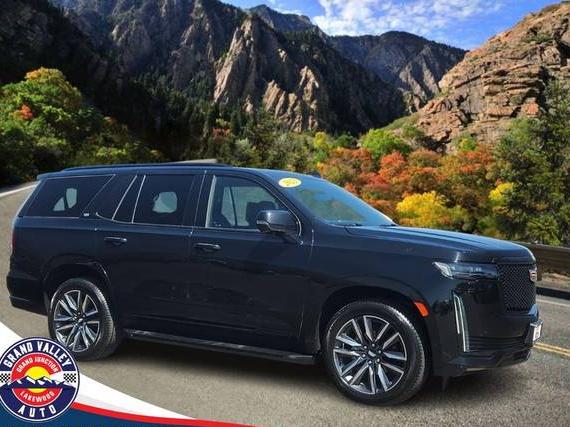 CADILLAC ESCALADE 2023 1GYS4EKL8PR352020 image