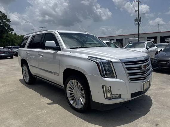 CADILLAC ESCALADE 2019 1GYS3DKJ4KR266188 image