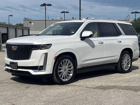CADILLAC ESCALADE 2024 1GYS4CKL6RR129546 image
