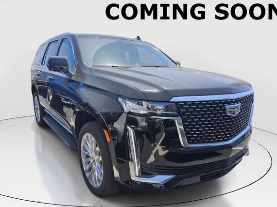CADILLAC ESCALADE 2024 1GYS4BKL9RR157867 image