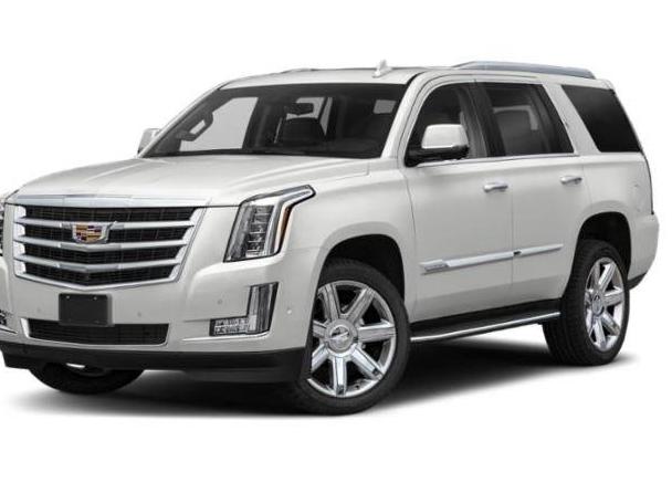 CADILLAC ESCALADE 2020 1GYS4BKJ4LR228009 image