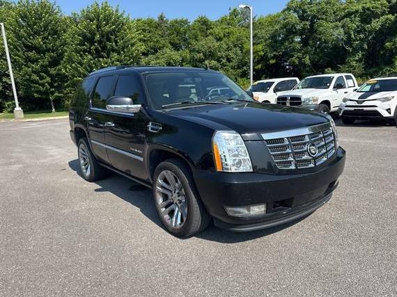 CADILLAC ESCALADE 2011 1GYS4CEF9BR131674 image
