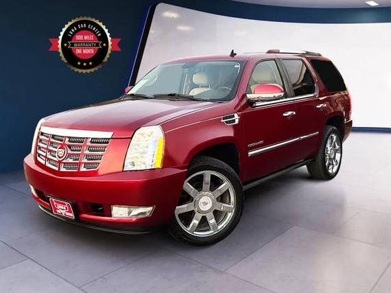 CADILLAC ESCALADE 2010 1GYUCCEF6AR119640 image