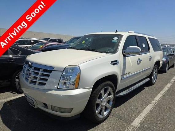CADILLAC ESCALADE 2010 1GYUCHEF3AR107166 image