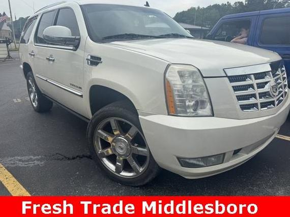 CADILLAC ESCALADE 2010 1GYUKCEF1AR132380 image