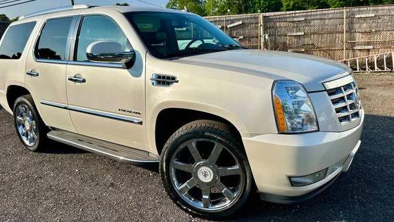 CADILLAC ESCALADE 2010 1GYUKBEF3AR291346 image