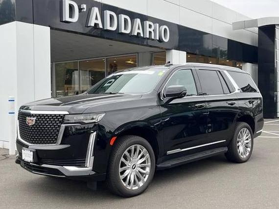 CADILLAC ESCALADE 2022 1GYS4AKL3NR113206 image